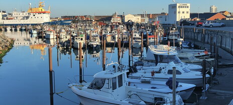 Fischerboote im Hafen von Hirtshals, Dänemark, im Hintergrund ein großes Schiff