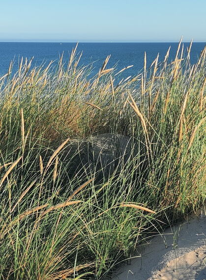 Eine Düne in Dänemark mit Meerblick
